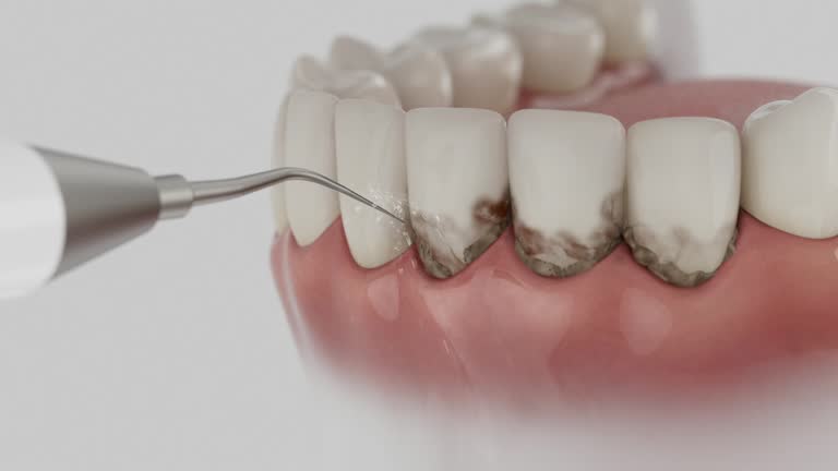 Reliable Teeth Cleaning And Checkup contractor in Northampton County County, VA by Dentist Open Now